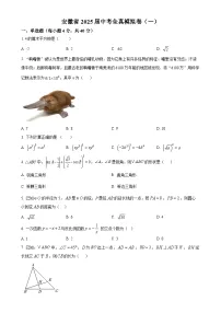2025年安徽省淮南市中考一模数学试题（原卷版）-A4