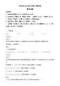 安徽省滁州市来安县2025年九年级中考一模数学试卷 （解析版）-A4