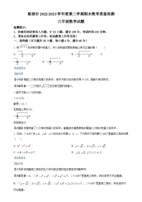 安徽省合肥市巢湖市八年级数学下学期期末试卷（解析版）-A4