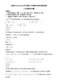 安徽省合肥市巢湖市八年级数学下学期期末试卷（解析版）-A4