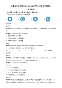 安徽省安庆市望江县九年级上学期期末数学试题 （解析版）-A4