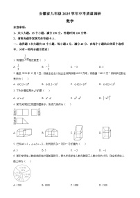 2025年安徽省六安市金寨县中考质量调研数学试卷 （原卷版）-A4