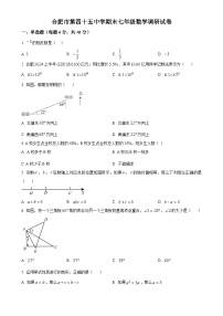 安徽省合肥市第四十五中学上学期七年级数学期末调研试卷（原卷版）-A4