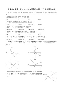 安徽省合肥四十五中2025-2026学年八年级（上）月考数学试卷（10月份）-普通用卷