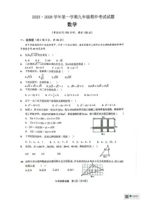 海南省海口市海口11校联考2025-2026学年九年级上学期11月期中数学试题