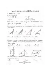 河南省南阳市内乡县2025-2026学年九年级上学期11月期中数学试题