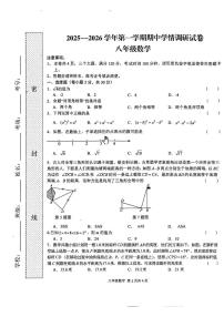 河南省周口市郸城县2025-2026学年八年级上学期期中数学试题