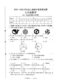 河南省驻马店市汝南县2025-2026学年九年级上学期11月期中考试数学试题
