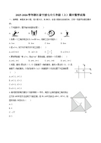 2025-2026学年浙江省宁波七中八年级（上）期中数学试卷-自定义类型