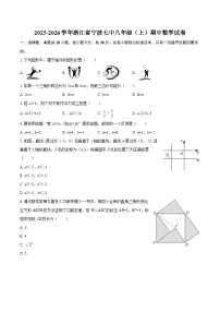 2025-2026学年浙江省宁波七中八年级（上）期中数学试卷-自定义类型