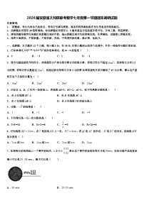 2026届安徽省太和县联考数学七年级第一学期期末调研试题含解析