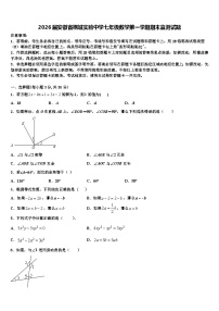 2026届安徽省桐城实验中学七年级数学第一学期期末监测试题含解析