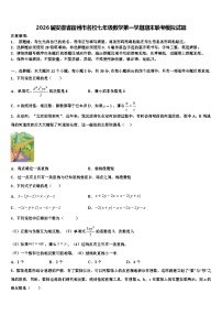 2026届安徽省宿州市名校七年级数学第一学期期末联考模拟试题含解析