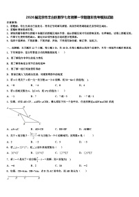 2026届北京市丰台区数学七年级第一学期期末统考模拟试题含解析