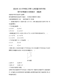 浙江省2024学年第二学期“山海联盟”协作学校七年级下期中学情调研数学试卷