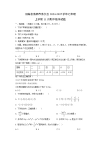 河南省洛阳市洛宁县2024-2025学年七年级上学期11月期中数学试卷（学生版）