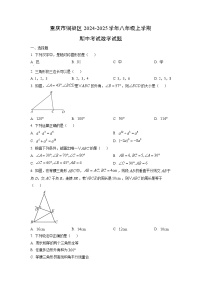 重庆市铜梁区2024-2025学年八年级上学期期中考试数学试卷（学生版）