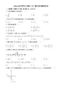 安徽省合肥市第四十五中学八年级下学期数学期中测试卷（原卷版）-A4