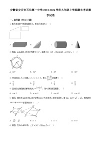 安徽省安庆市石化第一中学九年级上学期期末考试数学试卷（原卷版）-A4