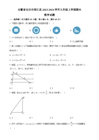 安徽省安庆市望江县九年级上学期期末数学试题 （原卷版）-A4