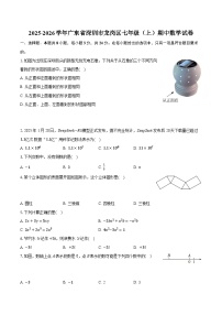 2025-2026学年广东省深圳市龙岗区七年级（上）期中数学试卷