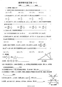 上海市浦东新区平和国际学校2025--2026学年11月八年级上学期数学期中卷