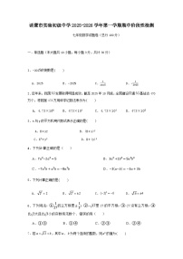 浙江省绍兴市诸暨市实验初级中学2025-2026学年七年级上学期11月期中数学试题（无答案）