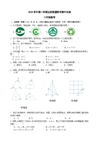 浙江省绍兴市新昌县五校联盟2025-2026学年八年级上学期11月期中数学试题（含答案）