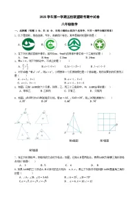 浙江省绍兴市新昌县五校联盟2025-2026学年八年级上学期11月期中数学试题（含答案）