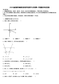 2026届成都市高新区新城学校数学七年级第一学期期末考试试题含解析
