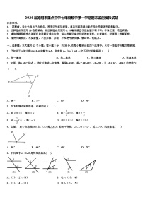2026届德阳市重点中学七年级数学第一学期期末监测模拟试题含解析