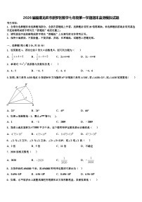 2026届福建龙岩市新罗区数学七年级第一学期期末监测模拟试题含解析