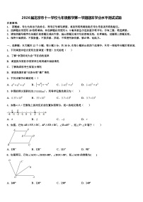 2026届北京市十一学校七年级数学第一学期期末学业水平测试试题含解析