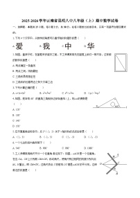 2025-2026学年云南省昆明八中八年级（上）期中数学试卷-自定义类型