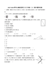 2025-2026学年云南省昆明八中八年级（上）期中数学试卷-自定义类型