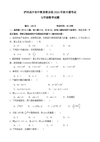 四川泸州高中初中教育联合校2024年秋半期考试七年级数学试题（含解析答案）