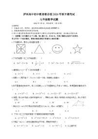 四川泸州高中初中教育联合校2024年秋半期考试九年级数学试题（含解析答案）
