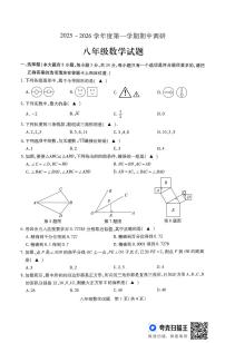 江苏省徐州市沛县2025-2026学年八年级上学期11月期中数学试题