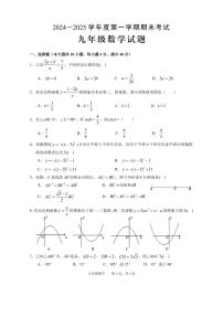 安徽省池州市青阳县2024-2025学年九年级上学期期末考试数学试题