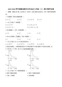 2025-2026学年湖南省郴州市苏仙区九年级（上）期中数学试卷