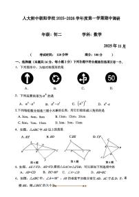 北京市中国人民大学附属中学朝阳学校2025～2026学年八年级上期中数学试卷(无答案)