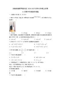 河南省南阳市唐河县2024-2025学年七年级上学期11月期中考试数学试卷（学生版）