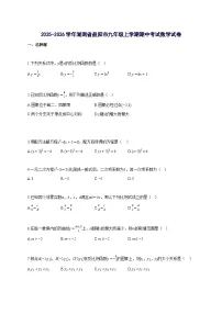 2025_2026学年湖南省益阳市九年级上册期中考试数学试题-含解析