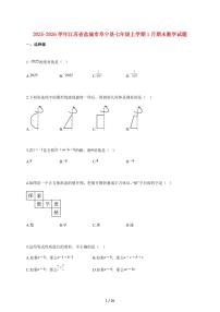 2025~2026学年江苏省盐城市阜宁县七年级上学期1月期末数学检测试题【附解析】