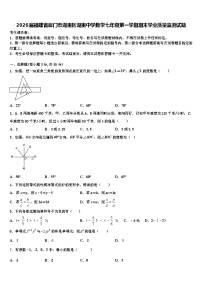 2026届福建省厦门市湖里区湖里中学数学七年级第一学期期末学业质量监测试题含解析