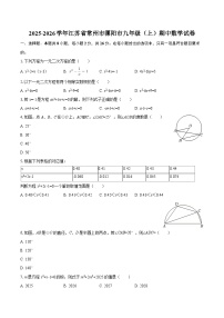 2025-2026学年江苏省常州市溧阳市九年级（上）期中数学试卷-自定义类型