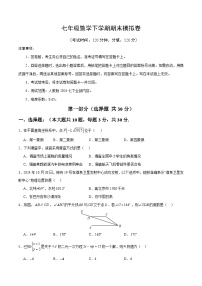 人教版2024初中数学七下期末试卷 【无答案】
