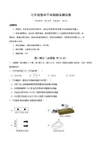 人教版2024初中数学七下期末考试卷 【无答案】