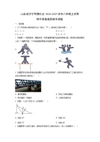 山东省济宁市泗水县2024-2025学年八年级上学期期中质量监测数学试卷（学生版）