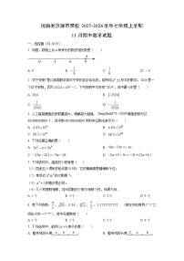 河南省济源市某校2025-2026学年七年级上学期11月期中数学试卷（学生版）